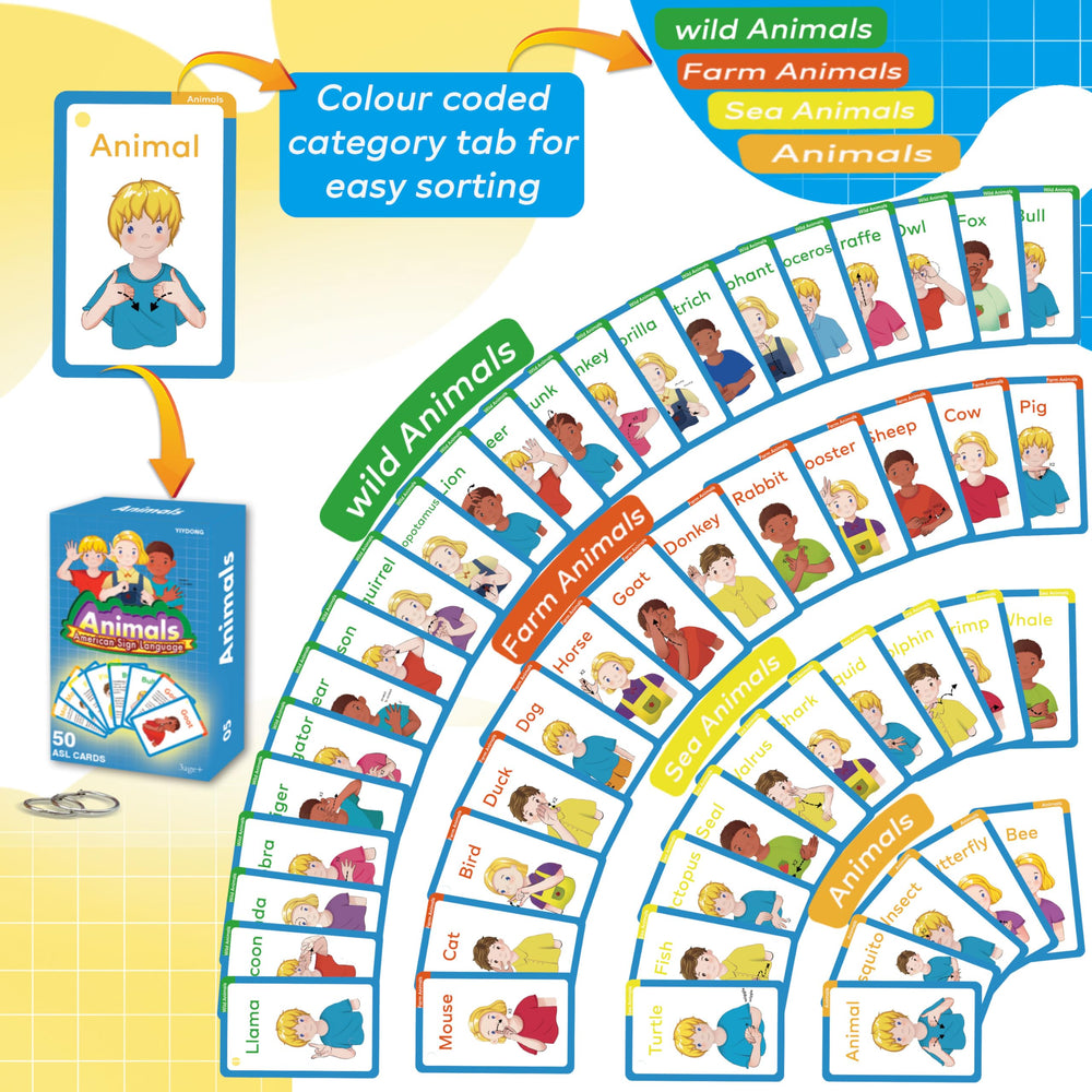 YIYDONG ASL flash cards with binder rings for customization