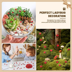 Yonseng ladybugs add fairy garden charm and realistic accents to decor.