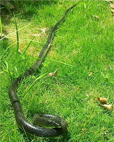Yoogeer 47in snake used for April Fool's pranks and playful mischief.