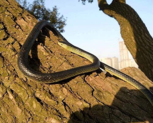 Yoogeer snake gag scene demonstrates a safe, humorous gift moment.