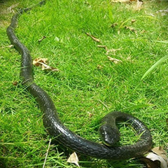 Yoogeer rubber snake on tree for realistic fright in photos or pranks.