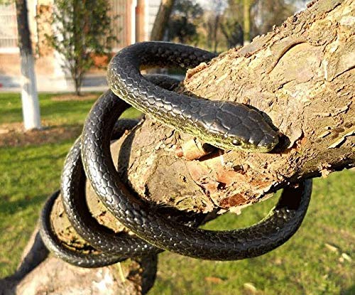 Yoogeer snake texture highlights soft rubber feel for safe play and setup.