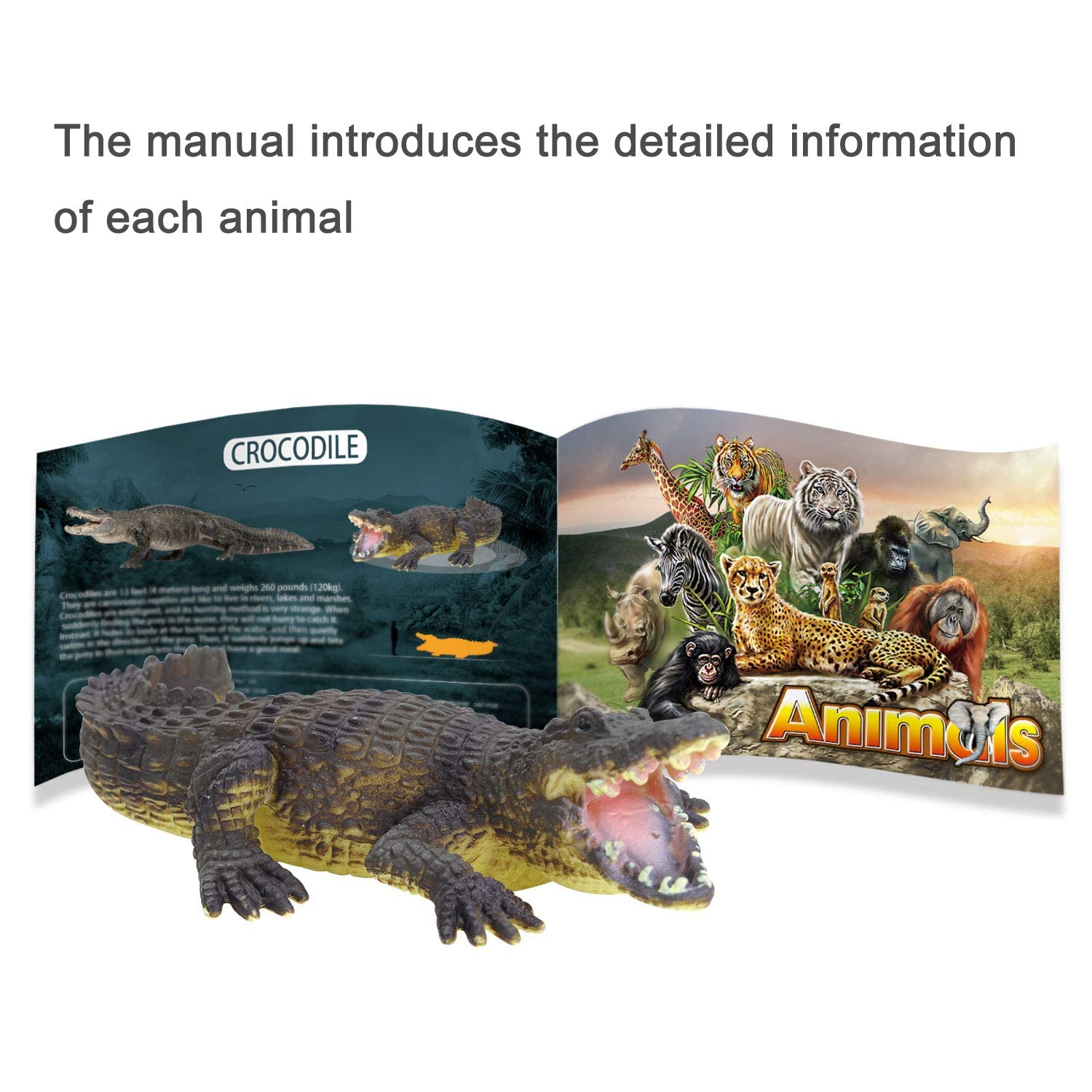 YouCute zoo playmat provides a soft surface for storytelling