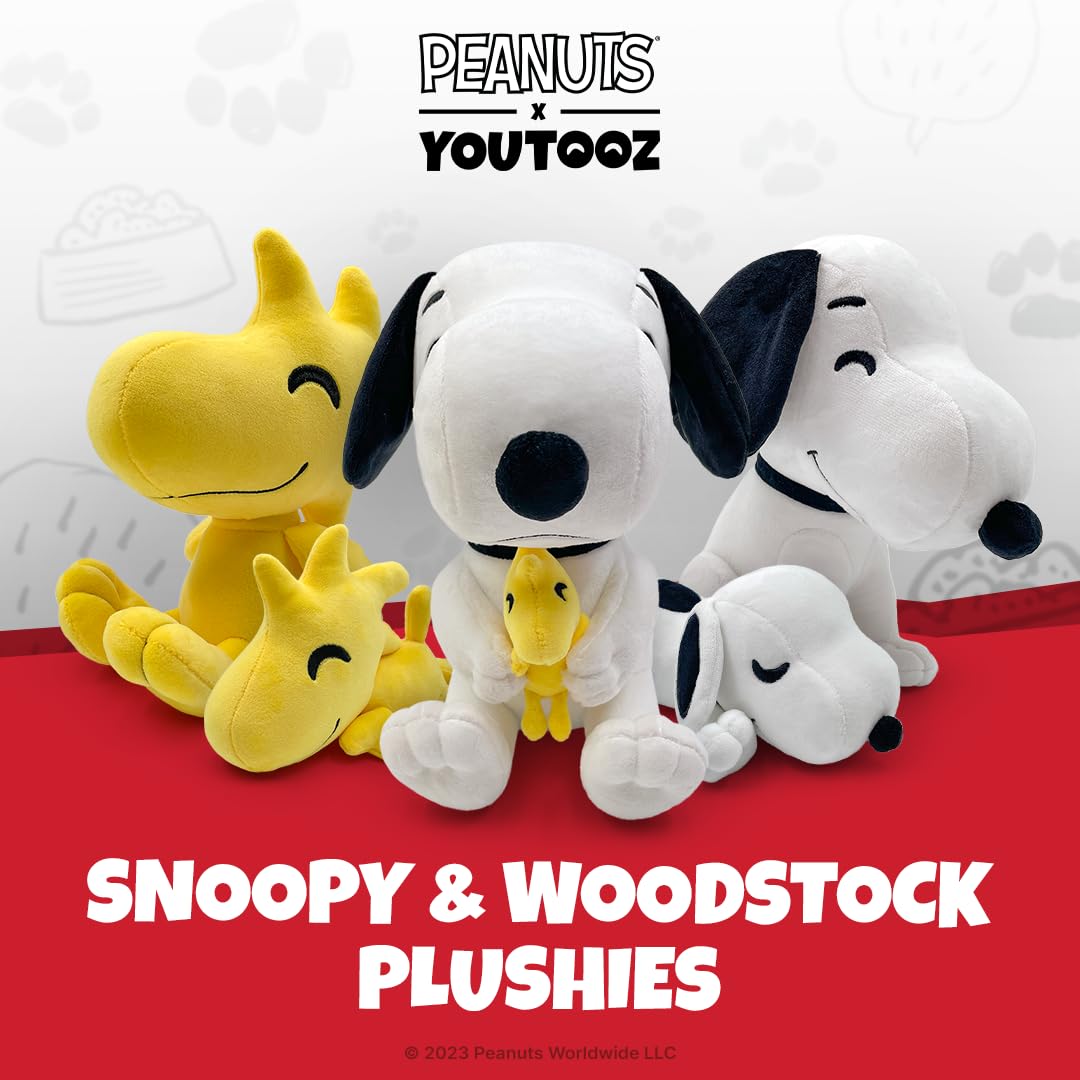 Youtooz Snoopy packaging shown in waterproof mailer protects the item.
