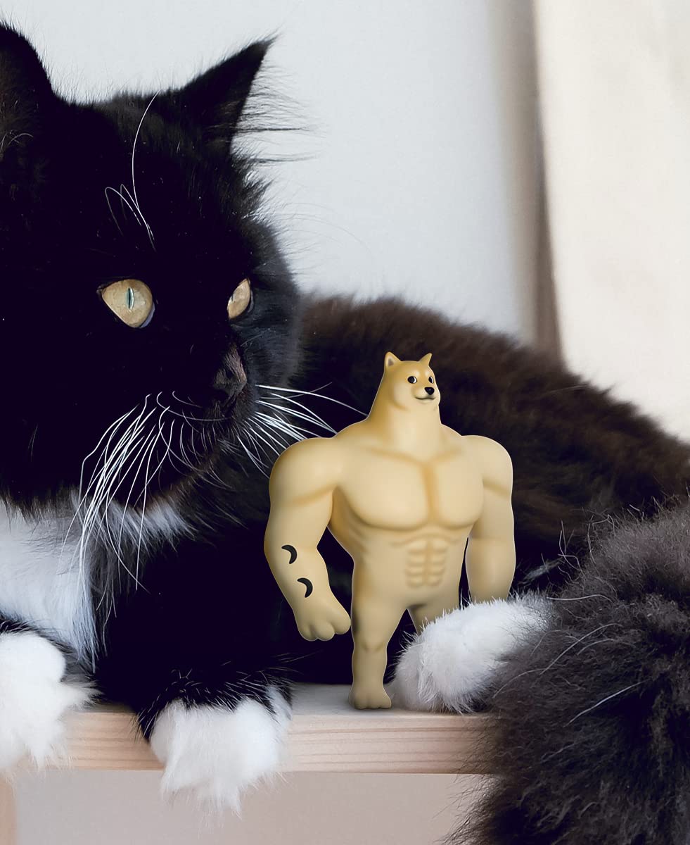 Youtooz Swole Doge on a shelf display packaging.