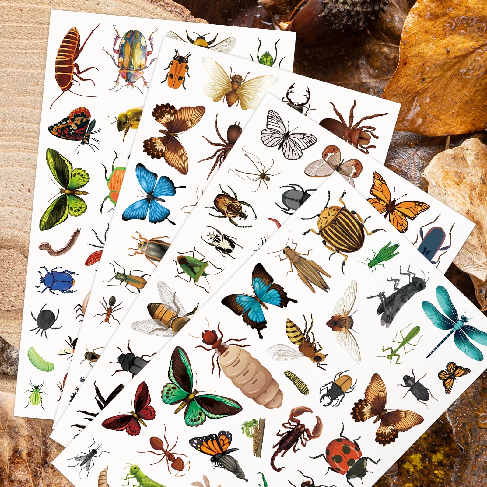 Yqskt bug stickers thoughtful gift for nature loving kids