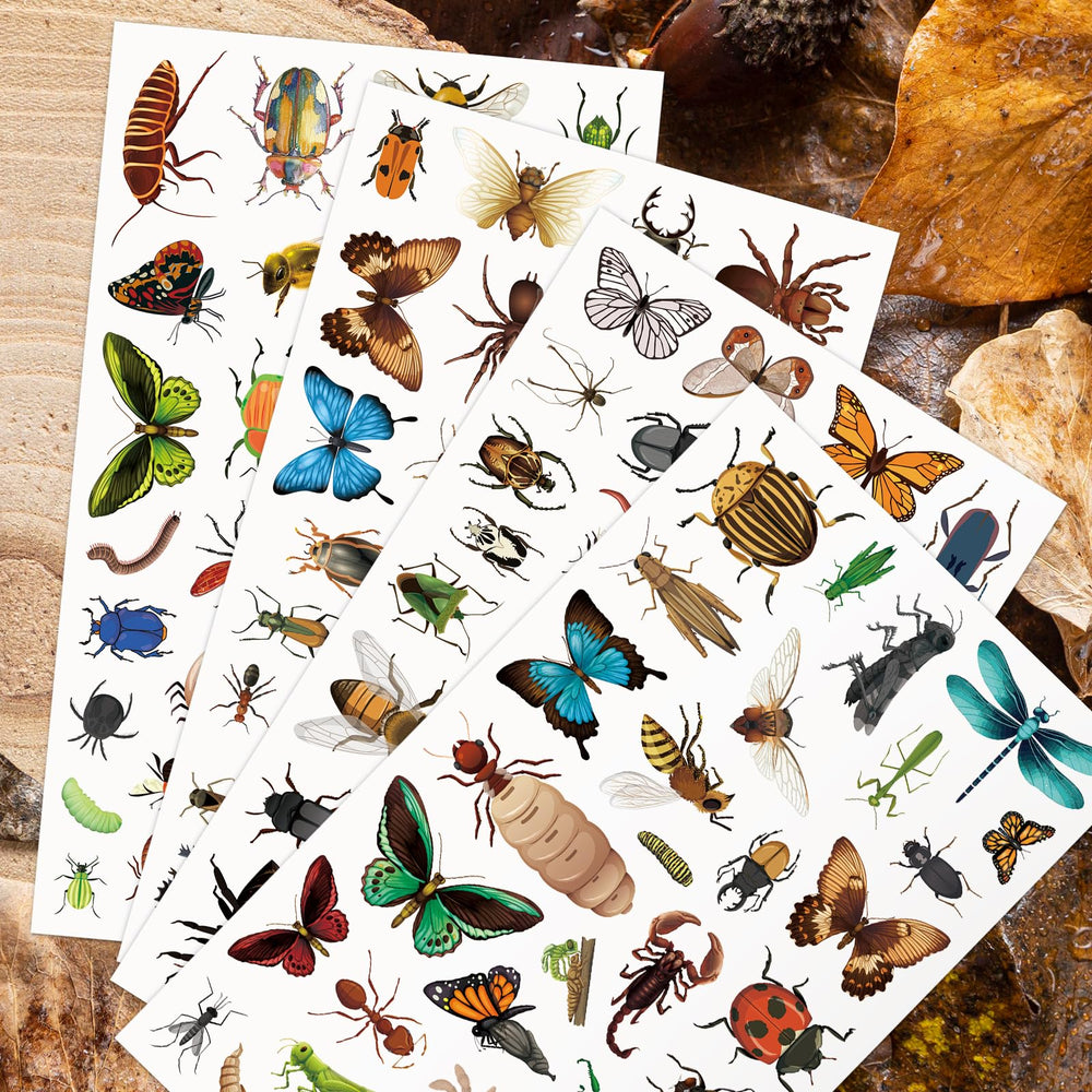 Yqskt bug stickers thoughtful gift for nature loving kids
