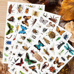 Yqskt bug stickers thoughtful gift for nature loving kids