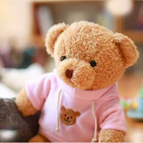 YUKOUQIAN Teddy Bear soft fur closeup, ultra-soft texture ideal for gentle hugs.