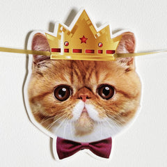 YUNSHANGMO Cat themed birthday ambiance banner for walls and doors
