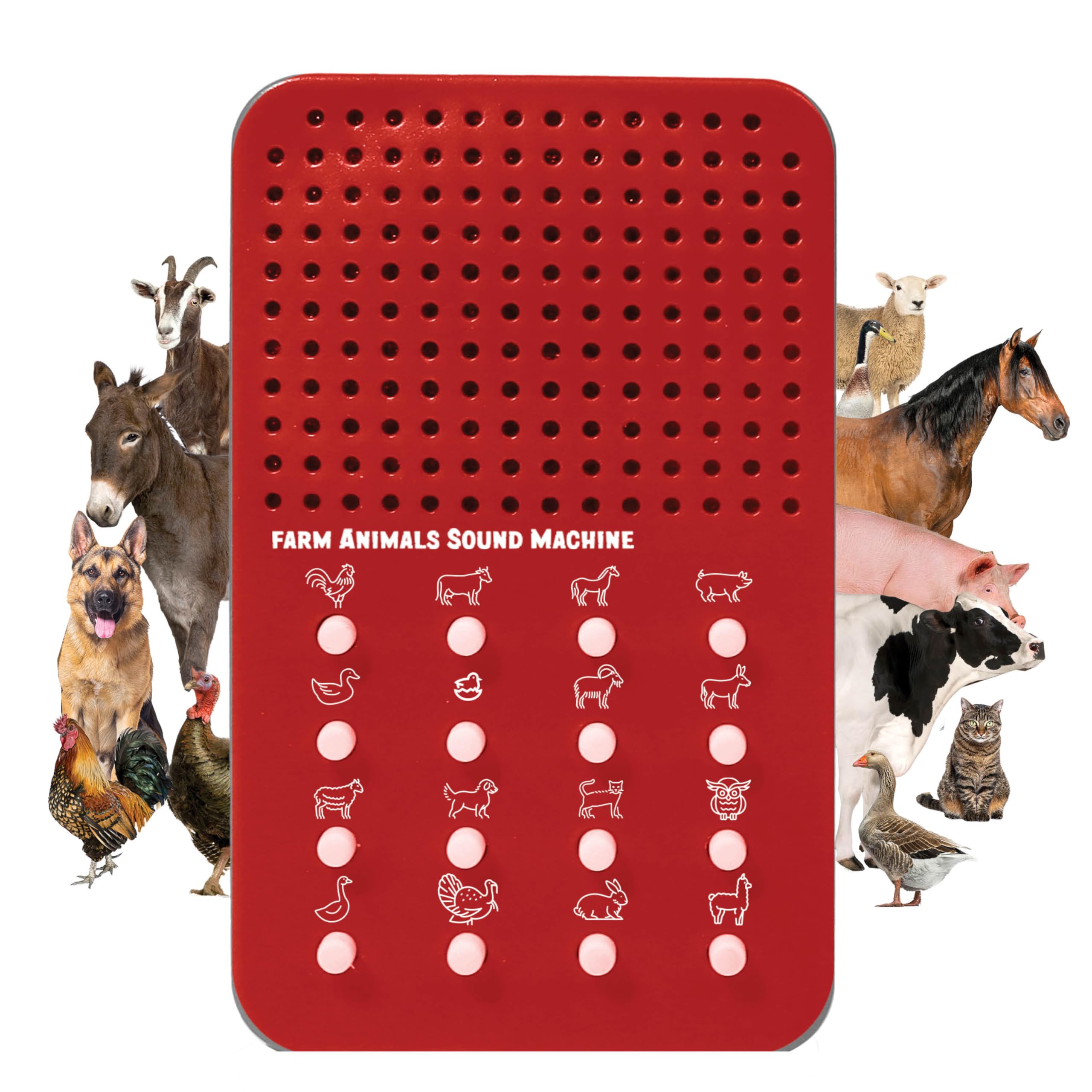 ZANY TRAINS Farm Noisemaker front view with 16 animal sounds for kids' playtime
