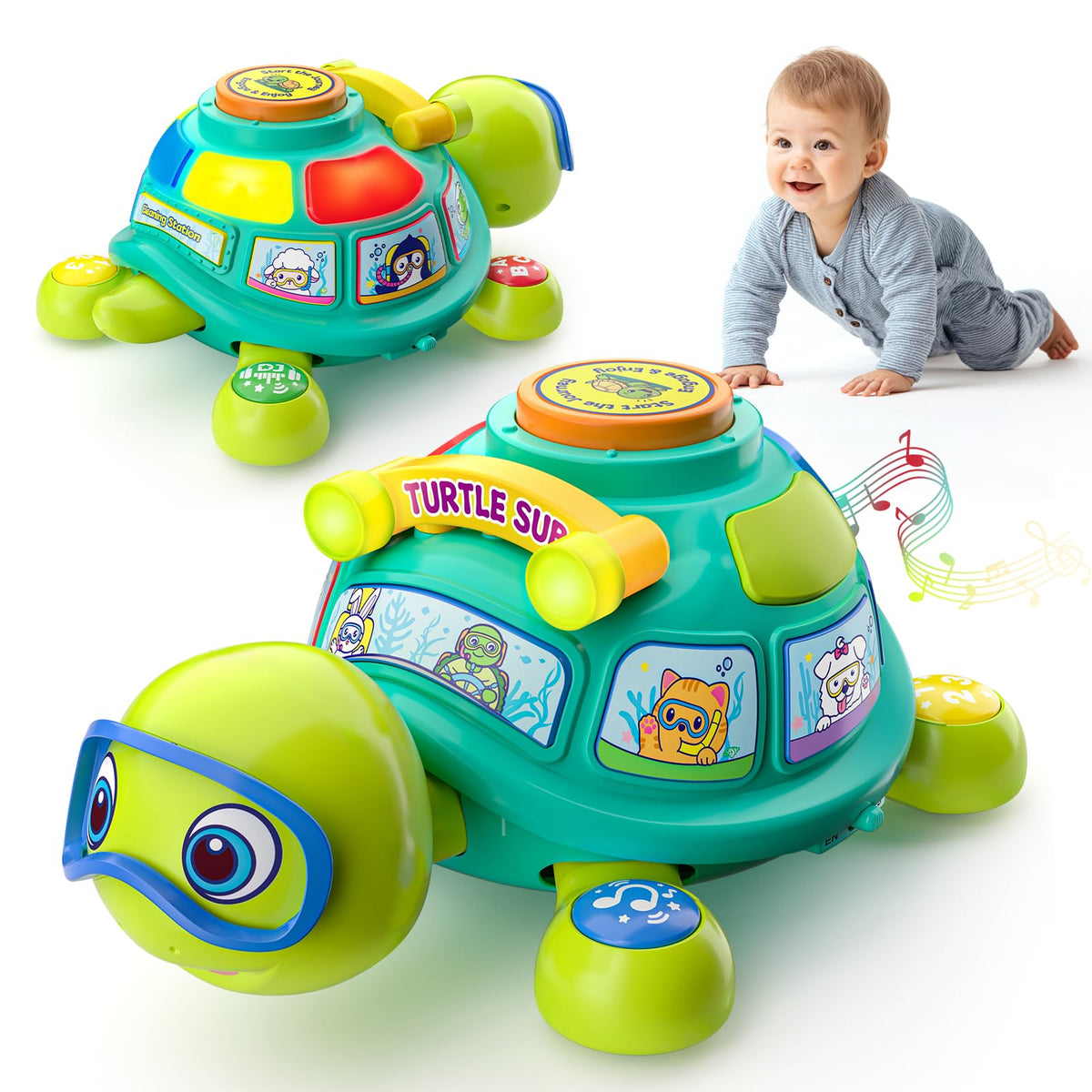 Zardali Musical Turtle during tummy time with engaging lights and tunes.