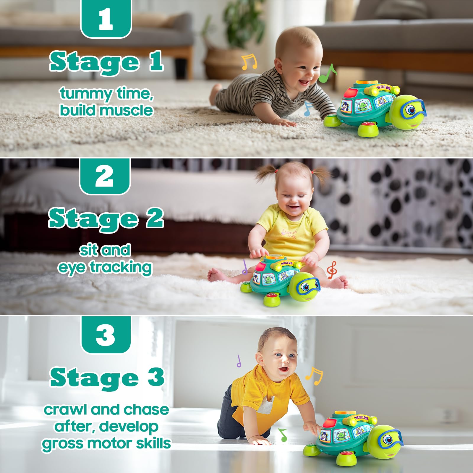 Zardali turtle slow-crawl design promotes gentle movement and head lifting.