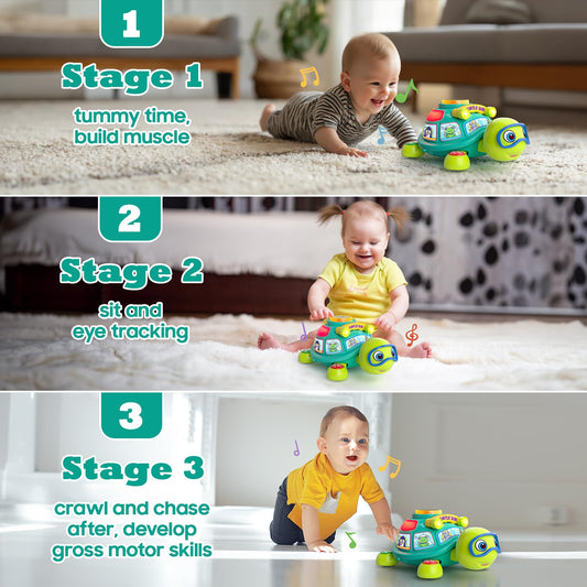 Zardali turtle slow-crawl design promotes gentle movement and head lifting.