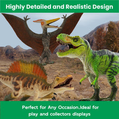 Zippytots safe non-toxic PVC dinos ensure safe, durable play.
