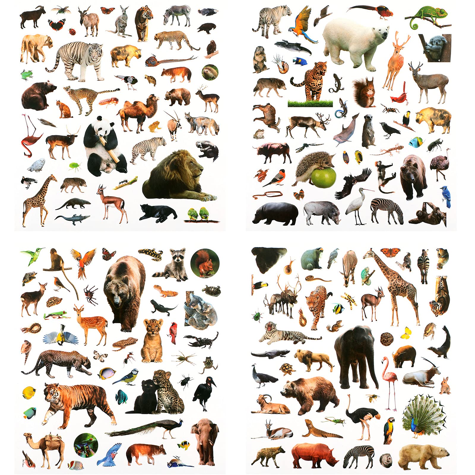 Zonon Wild Jungle Animal Stickers sheet for scrapbooks and water bottles, ideal for crafts.