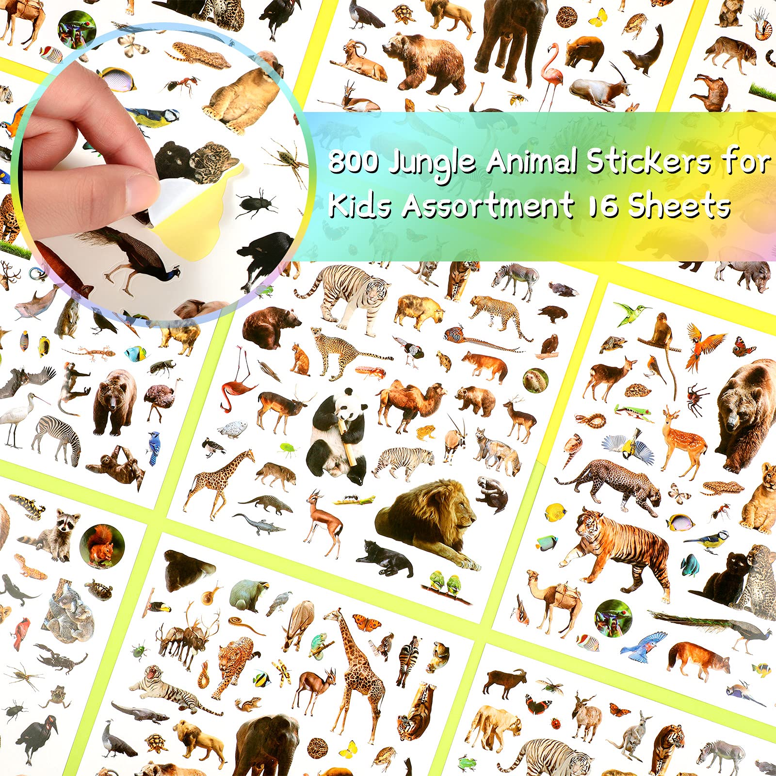 Zonon wild jungle animal decals sheet enhances greeting cards and planners.