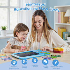 ZONSTVYS 510 sight words set across 14 subjects with clear pronunciation